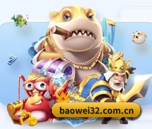 宝威的故事 | Baowei Sports